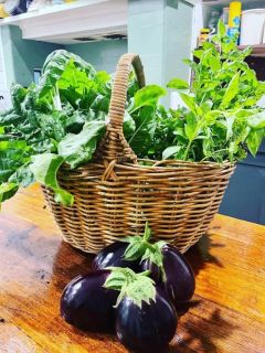 Eggplant2 Eggplant2