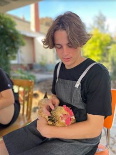 paddy chicken paddy chicken