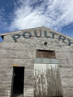 Screenshot 2025 02 25 at 11.04.13   am