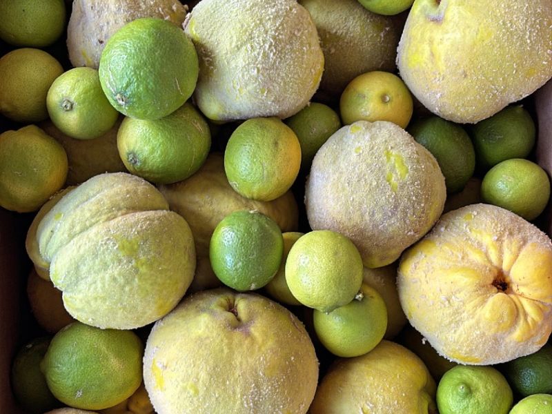 93B2F426 A7E7 47D8 B8E6 7CAEF922C205