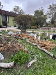 Front garden after a weed and some pea straw down