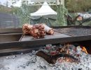 Searing Kangaroo Tails