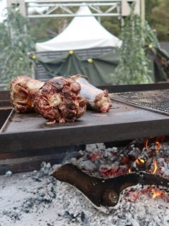 Searing Kangaroo Tails