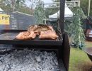 bark wrapped fish