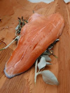 fish
